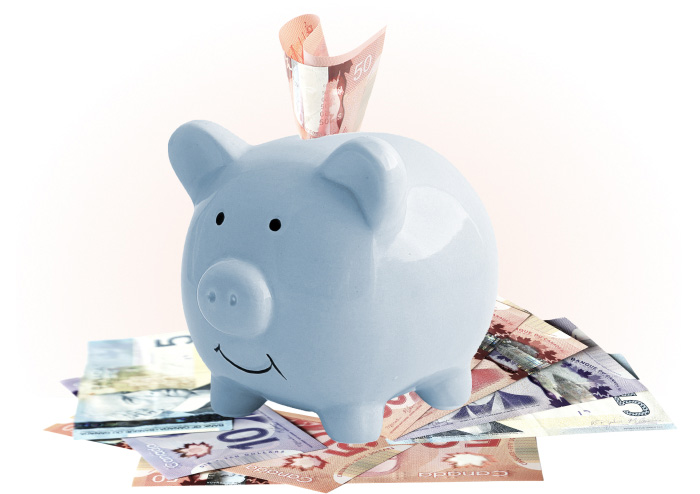 Piggy bank icon